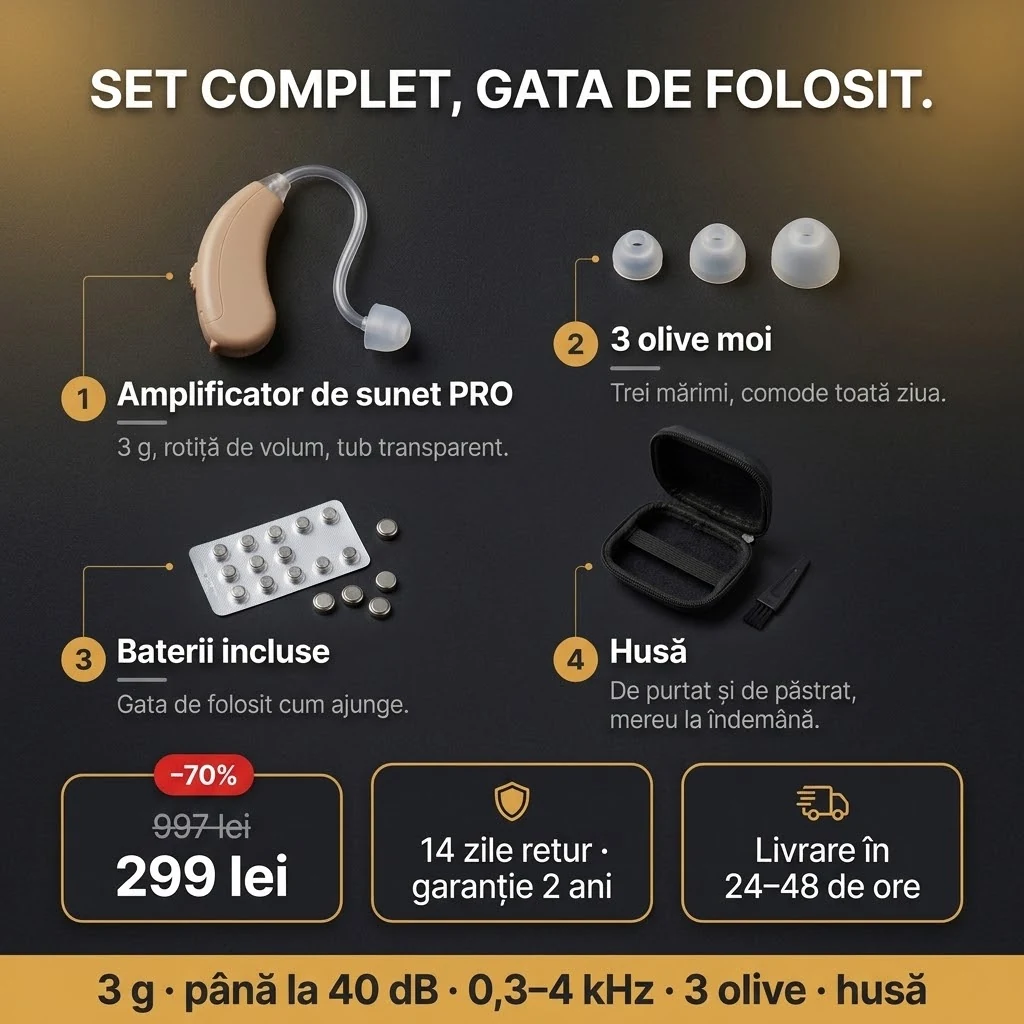 Oferta Amplificator de sunet PRO: amplificator, 3 olive, baterii și husă, plata la livrare